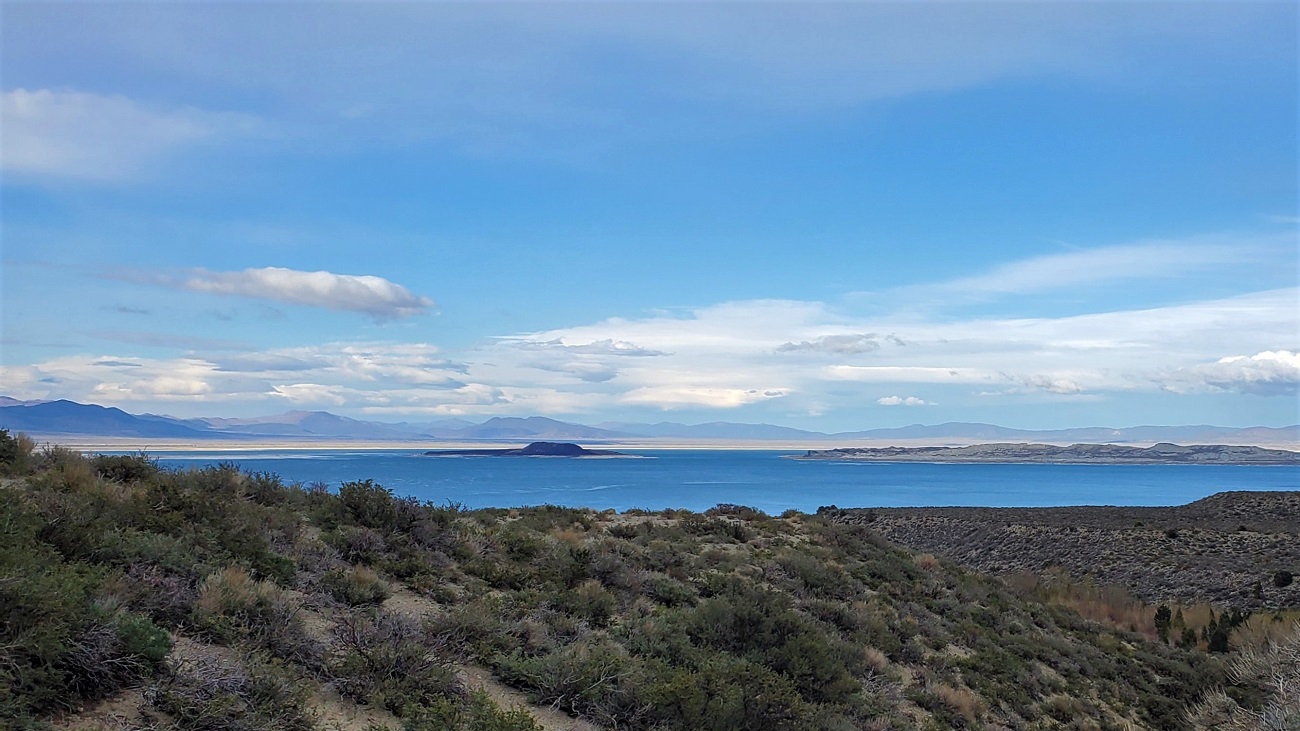 Name:  10-20220421_173417.jpg
Views: 4218
Size:  301.8 KB