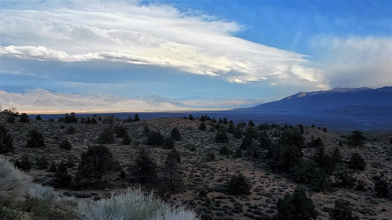 Name:  11-20220421_182505.jpg
Views: 4155
Size:  352.9 KB