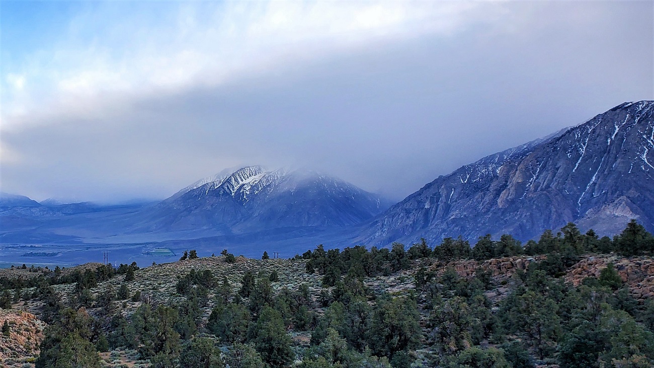 Name:  12-20220421_182539.jpg
Views: 4161
Size:  365.8 KB