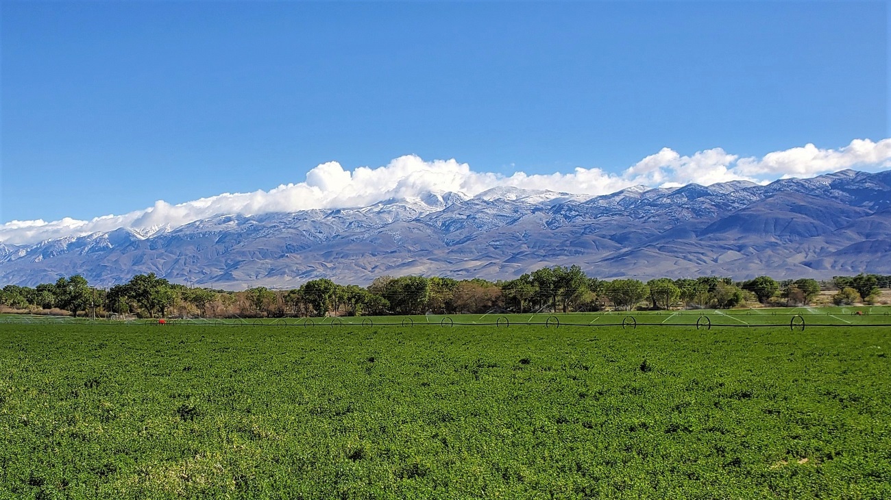 Name:  16-20220422_092211.jpg
Views: 4130
Size:  466.7 KB