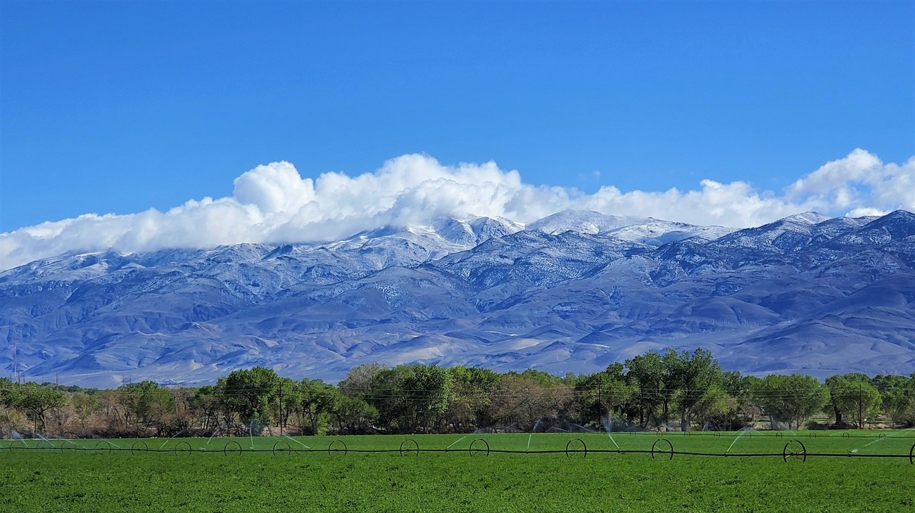 Name:  17-20220422_092216.jpg
Views: 4055
Size:  371.5 KB