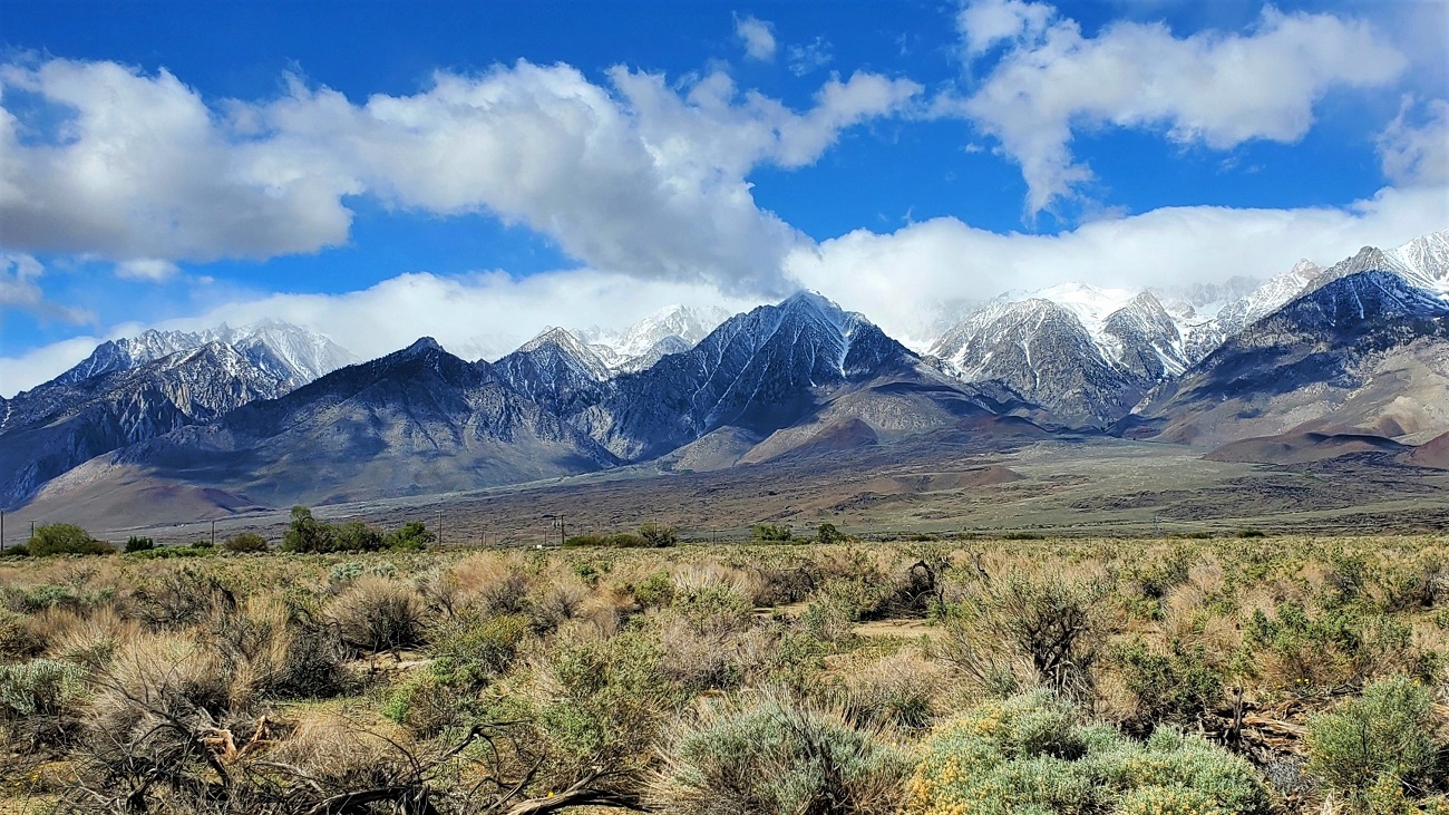 Name:  18-20220422_094824.jpg
Views: 4111
Size:  512.2 KB