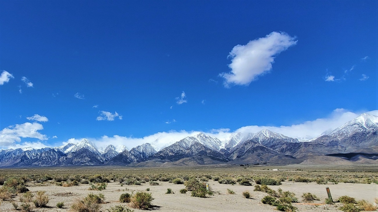 Name:  23-20220422_101032.jpg
Views: 4065
Size:  353.8 KB