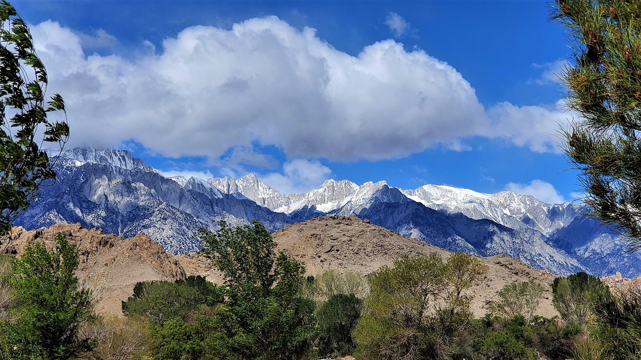 Name:  24-20220422_103323.jpg
Views: 4049
Size:  541.3 KB