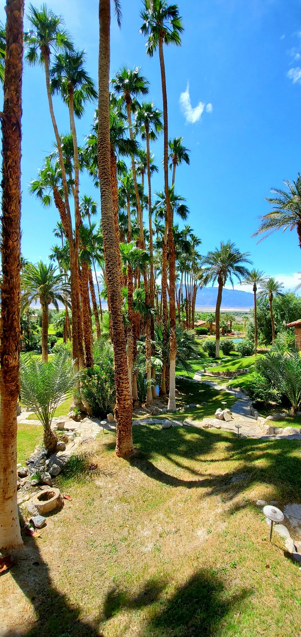 Name:  40-20220422_144840.jpg
Views: 3939
Size:  502.1 KB