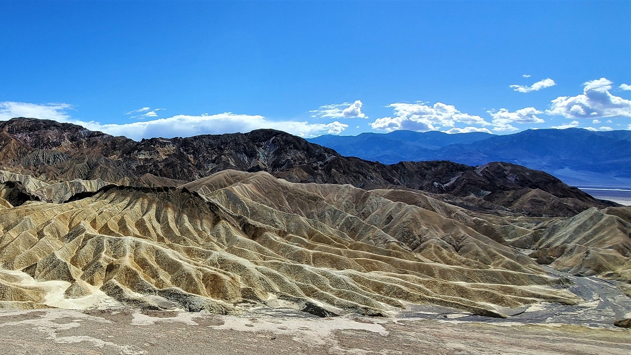 Name:  42-20220422_151313.jpg
Views: 3911
Size:  515.4 KB