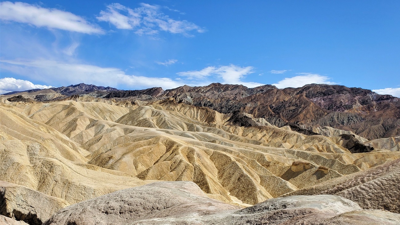 Name:  43-20220422_151839.jpg
Views: 3879
Size:  480.0 KB