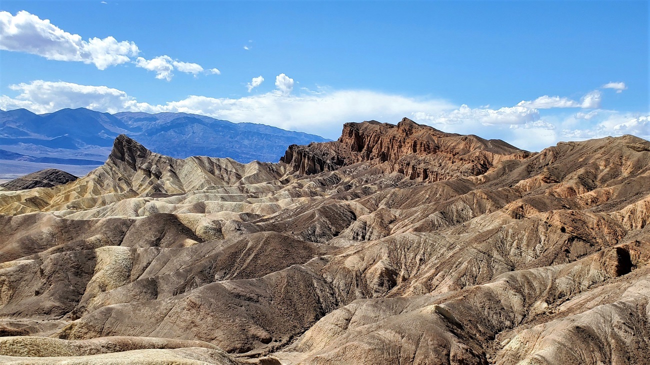 Name:  44-20220422_150834.jpg
Views: 3888
Size:  525.6 KB