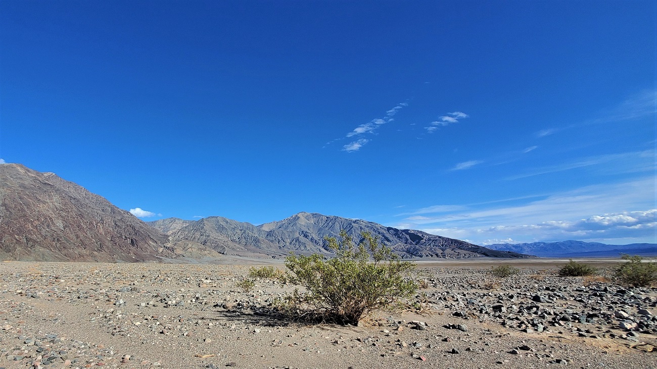 Name:  55-20220422_170207.jpg
Views: 3750
Size:  424.9 KB