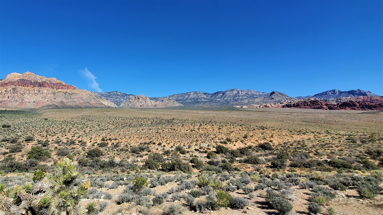 Name:  64-20220423_093724.jpg
Views: 3695
Size:  538.9 KB