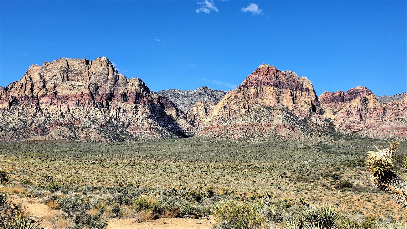 Name:  65-20220423_094120.jpg
Views: 3668
Size:  614.4 KB