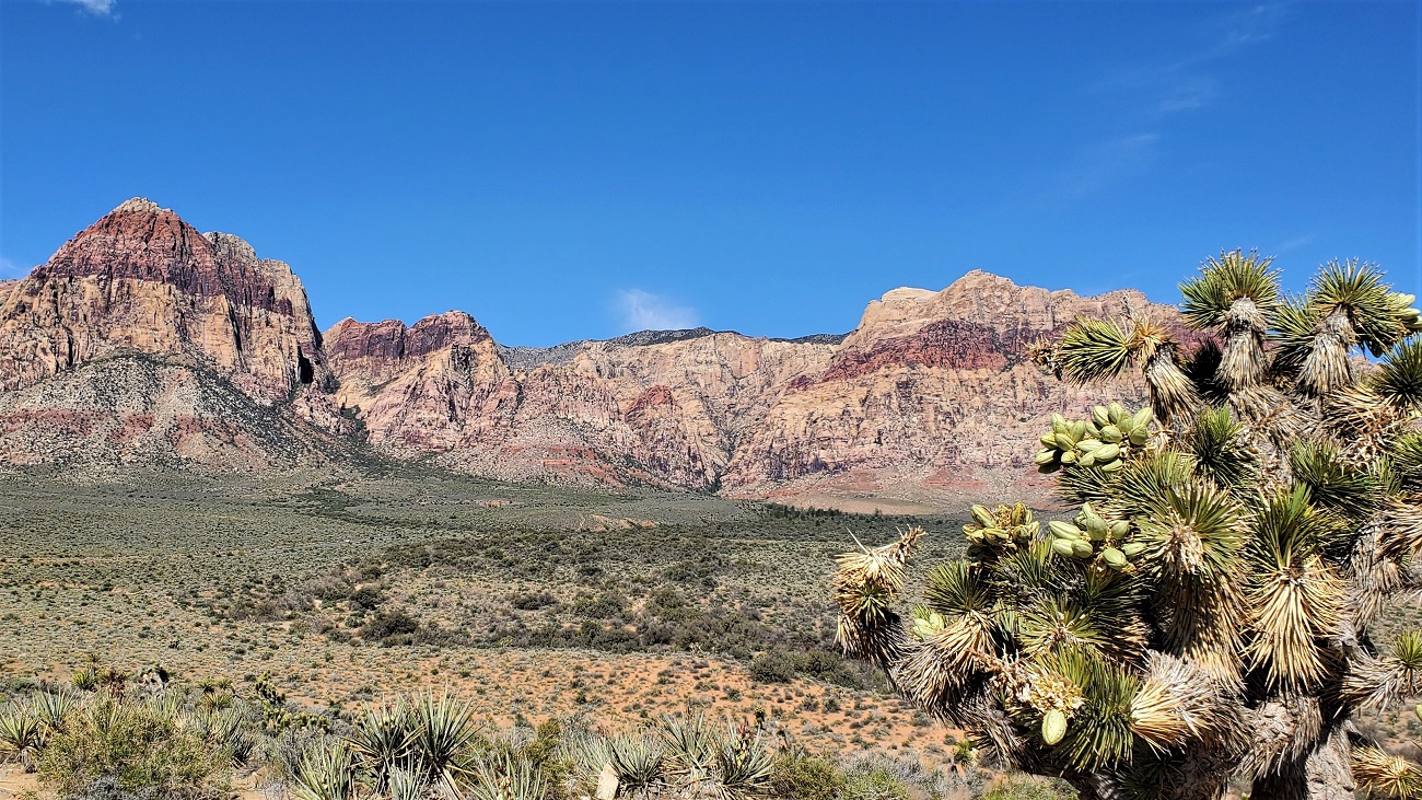 Name:  66-20220423_094135.jpg
Views: 3688
Size:  578.5 KB