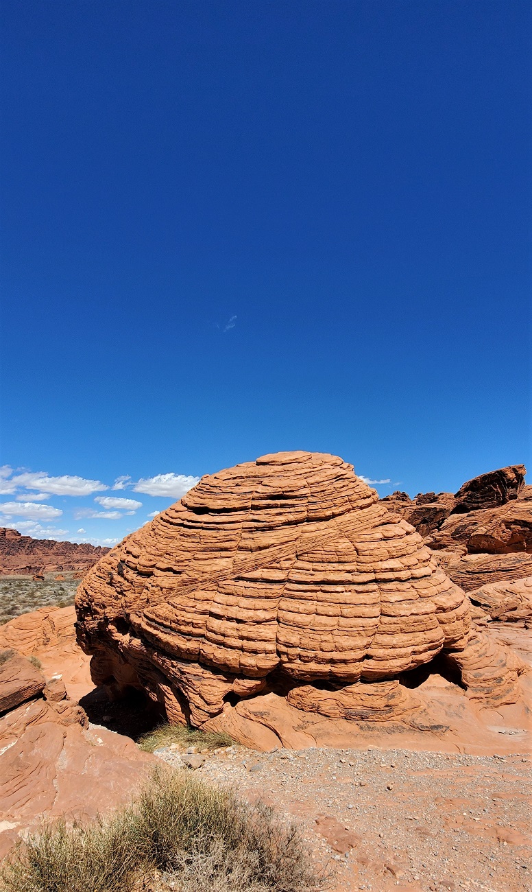 Name:  72-20220423_135520.jpg
Views: 3678
Size:  444.5 KB