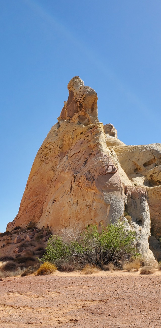 Name:  80-20220423_150527.jpg
Views: 3641
Size:  316.4 KB