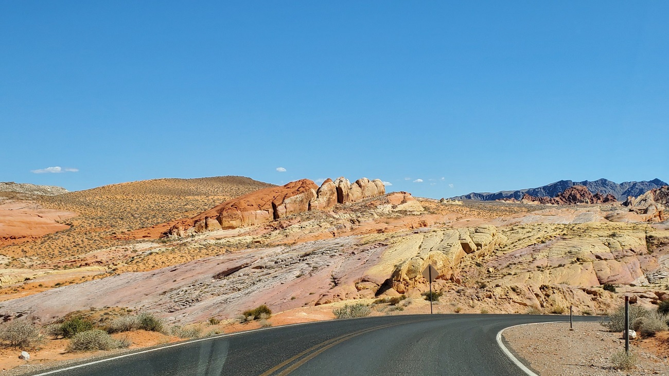 Name:  81-20220423_151303.jpg
Views: 3605
Size:  377.9 KB