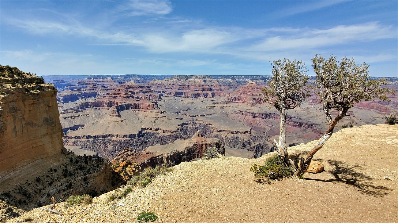 Name:  130-20220425_135349.jpg
Views: 3446
Size:  533.0 KB