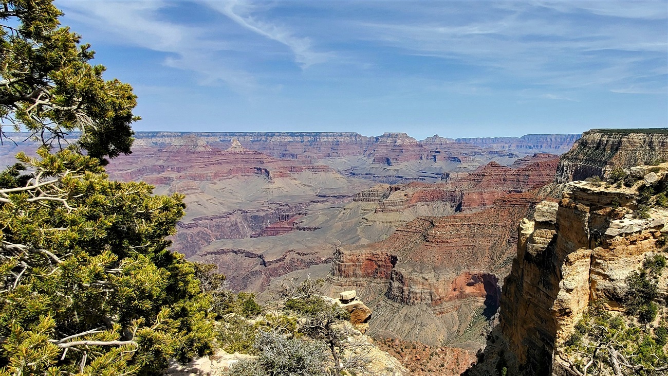 Name:  132-20220425_135543.jpg
Views: 3473
Size:  579.0 KB