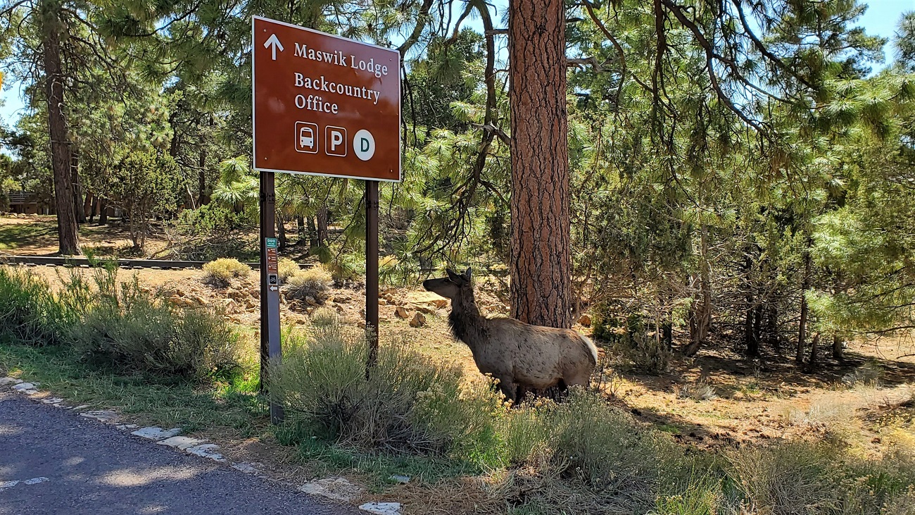 Name:  135-20220425_143959.jpg
Views: 3503
Size:  735.4 KB