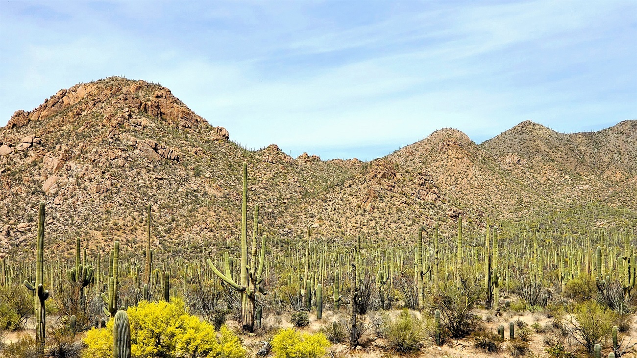 Name:  147-20220426_141213.jpg
Views: 3430
Size:  603.9 KB