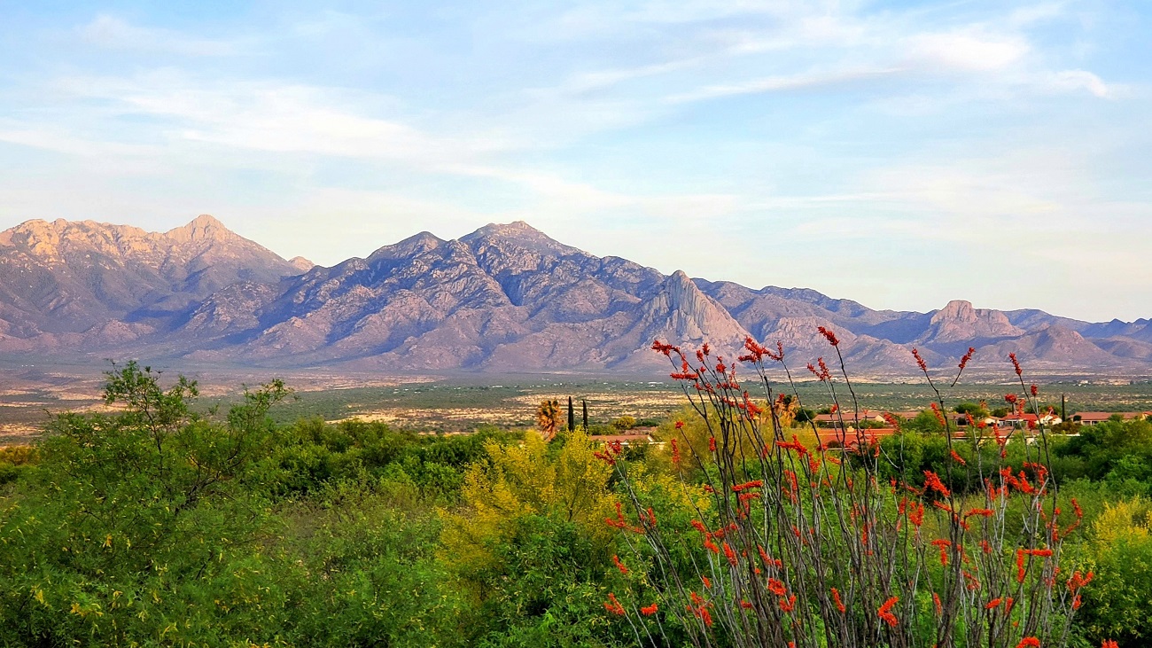 Name:  156-20220426_184149.jpg
Views: 3386
Size:  441.3 KB