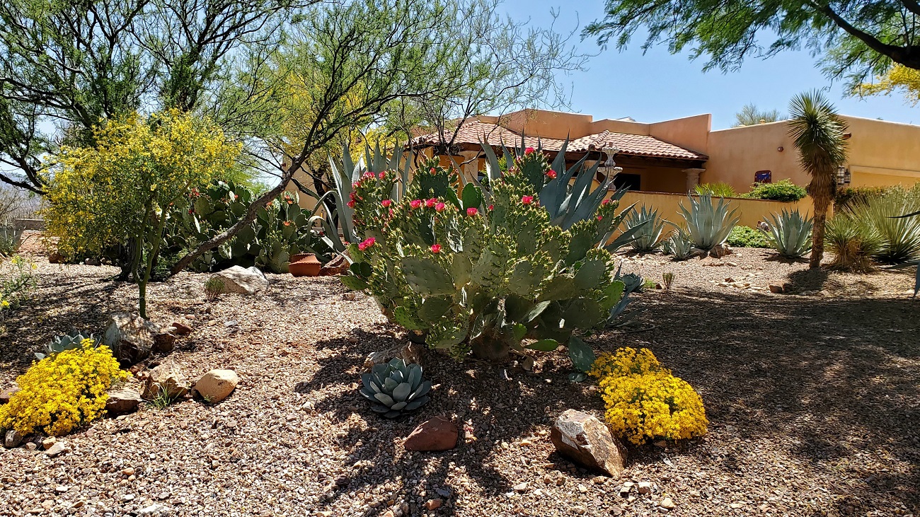 Name:  158-20220427_131758.jpg
Views: 3430
Size:  771.4 KB