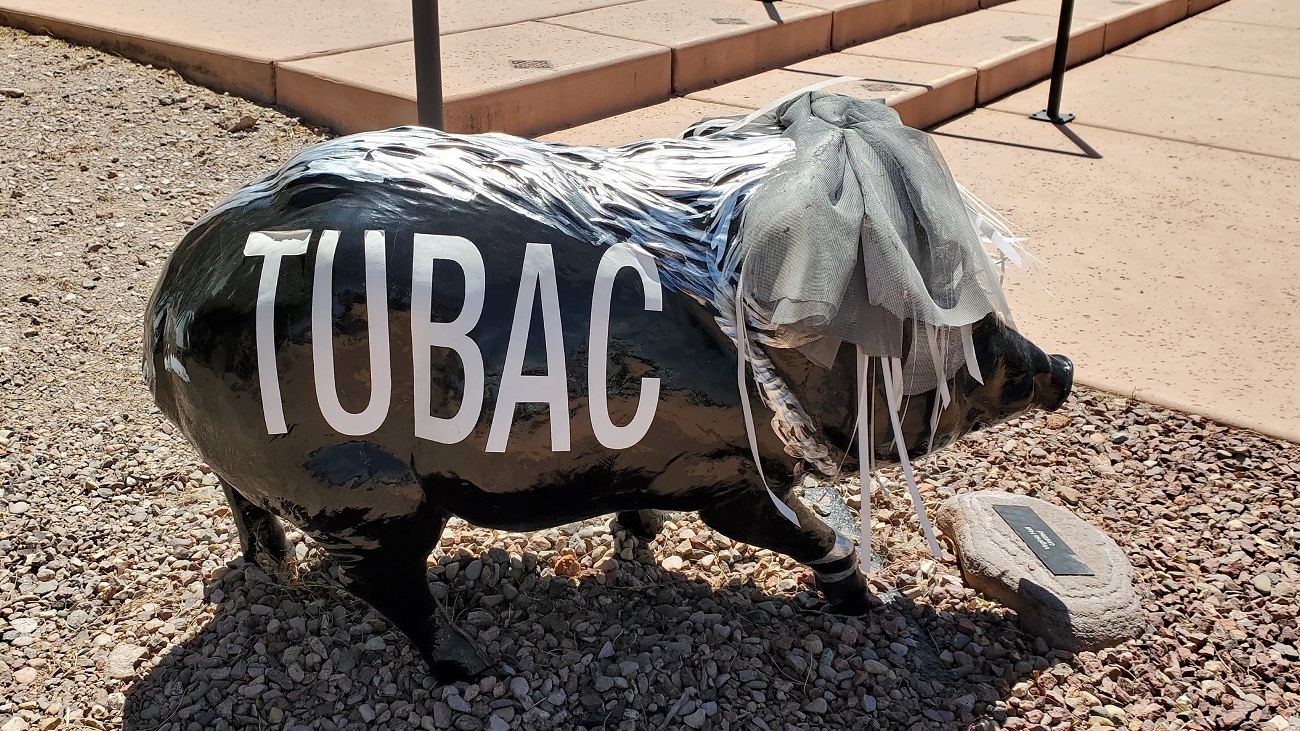 Name:  159-20220427_135300.jpg
Views: 3335
Size:  567.9 KB