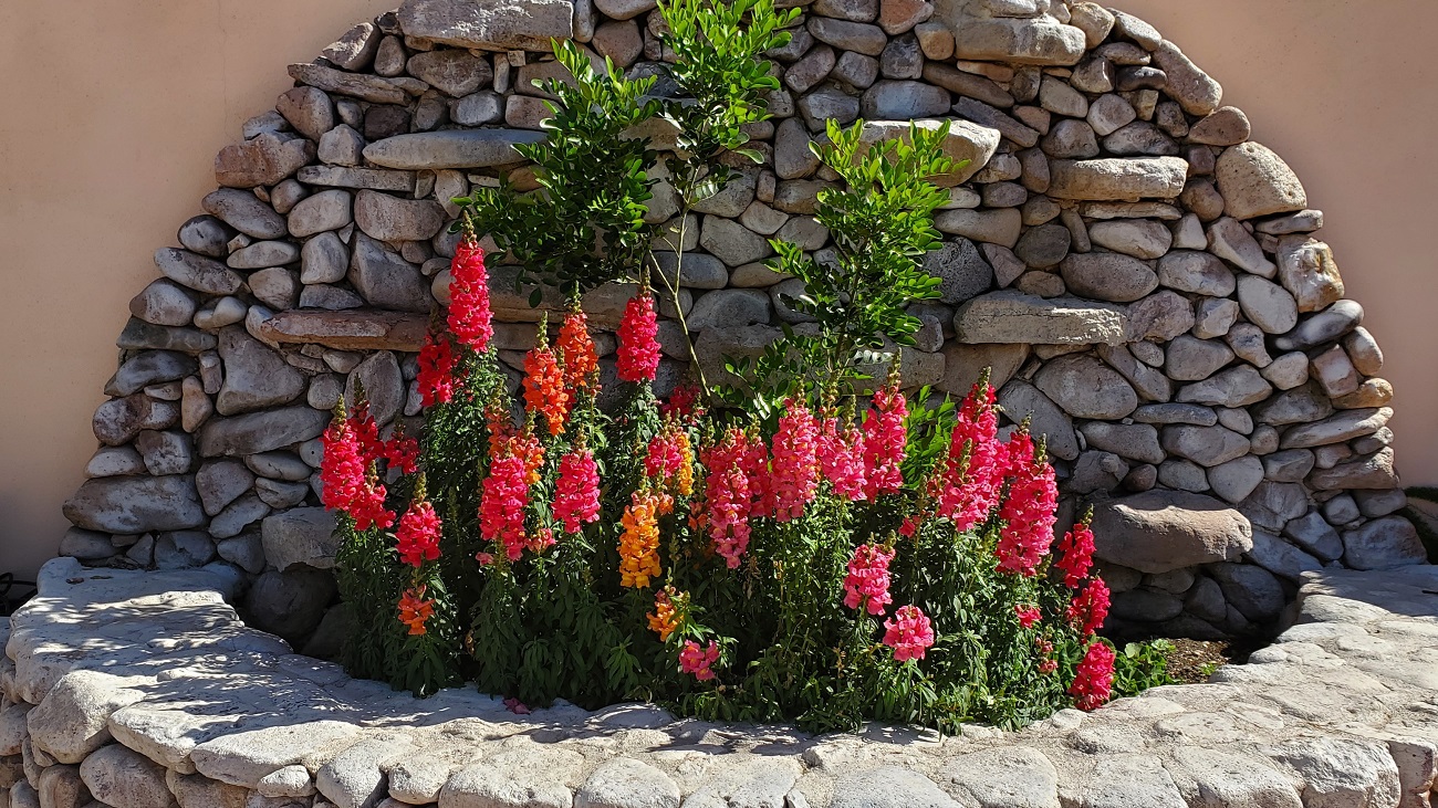 Name:  161-20220427_153827.jpg
Views: 3377
Size:  573.9 KB