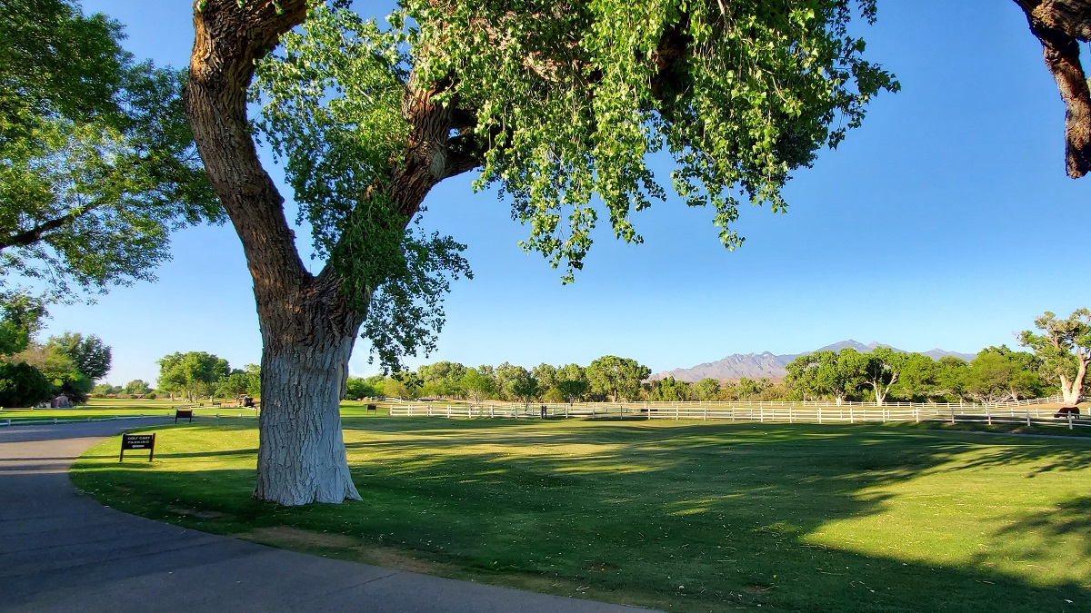 Name:  164a-20220427_173440.jpg
Views: 3379
Size:  466.5 KB