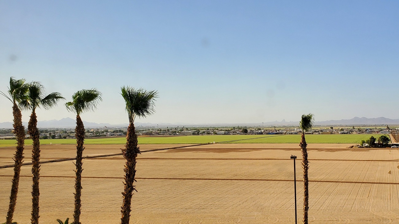 Name:  173-20220428_164601.jpg
Views: 3299
Size:  312.0 KB