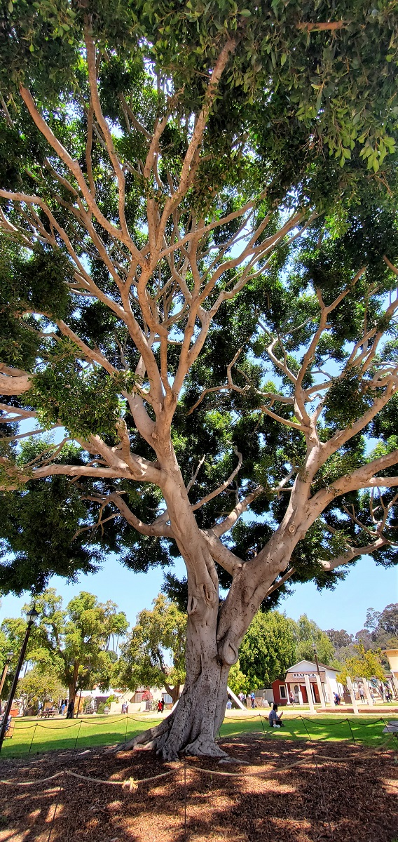 Name:  177-20220429_122216.jpg
Views: 3259
Size:  551.0 KB