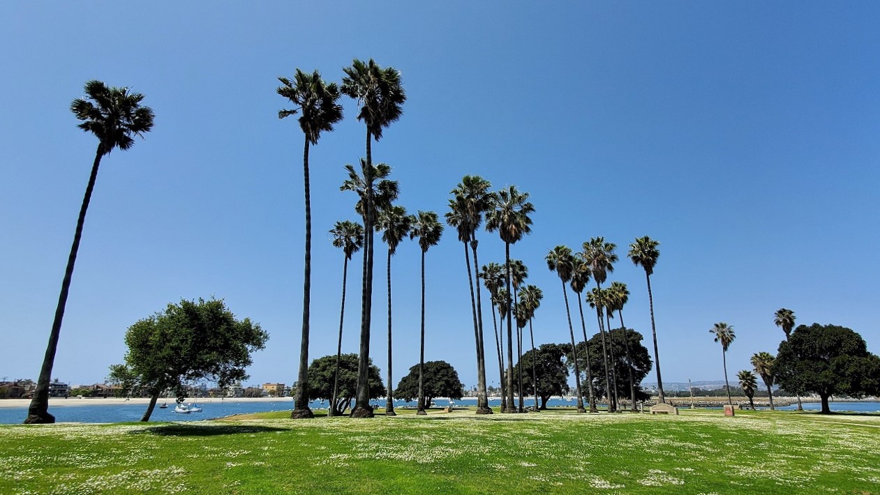 Name:  179-20220429_135030.jpg
Views: 3240
Size:  256.5 KB