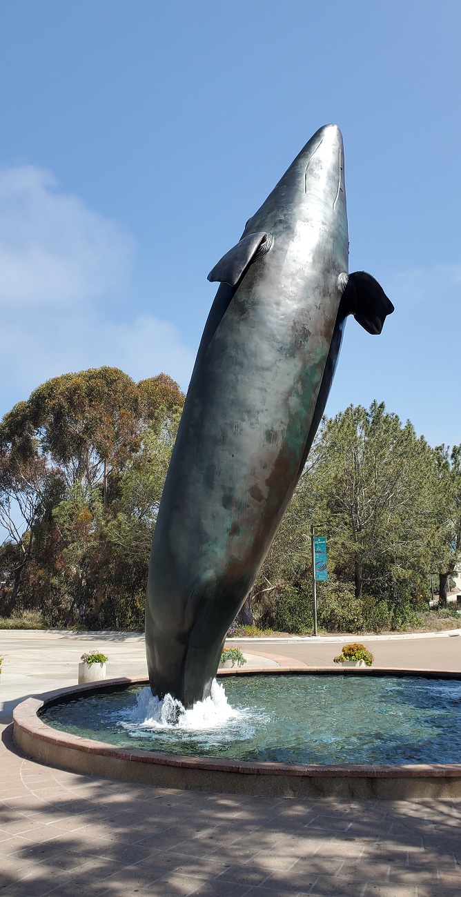 Name:  182-20220430_105352.jpg
Views: 3293
Size:  305.8 KB