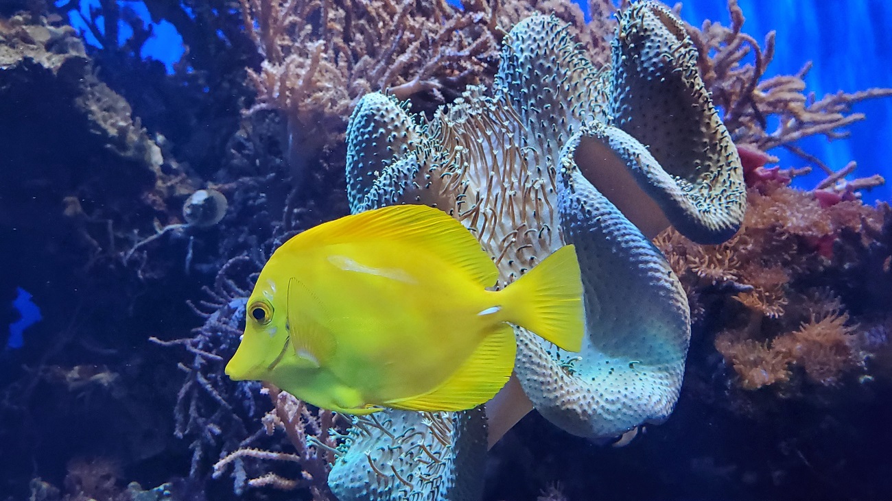 Name:  184-20220430_120234.jpg
Views: 3266
Size:  386.8 KB