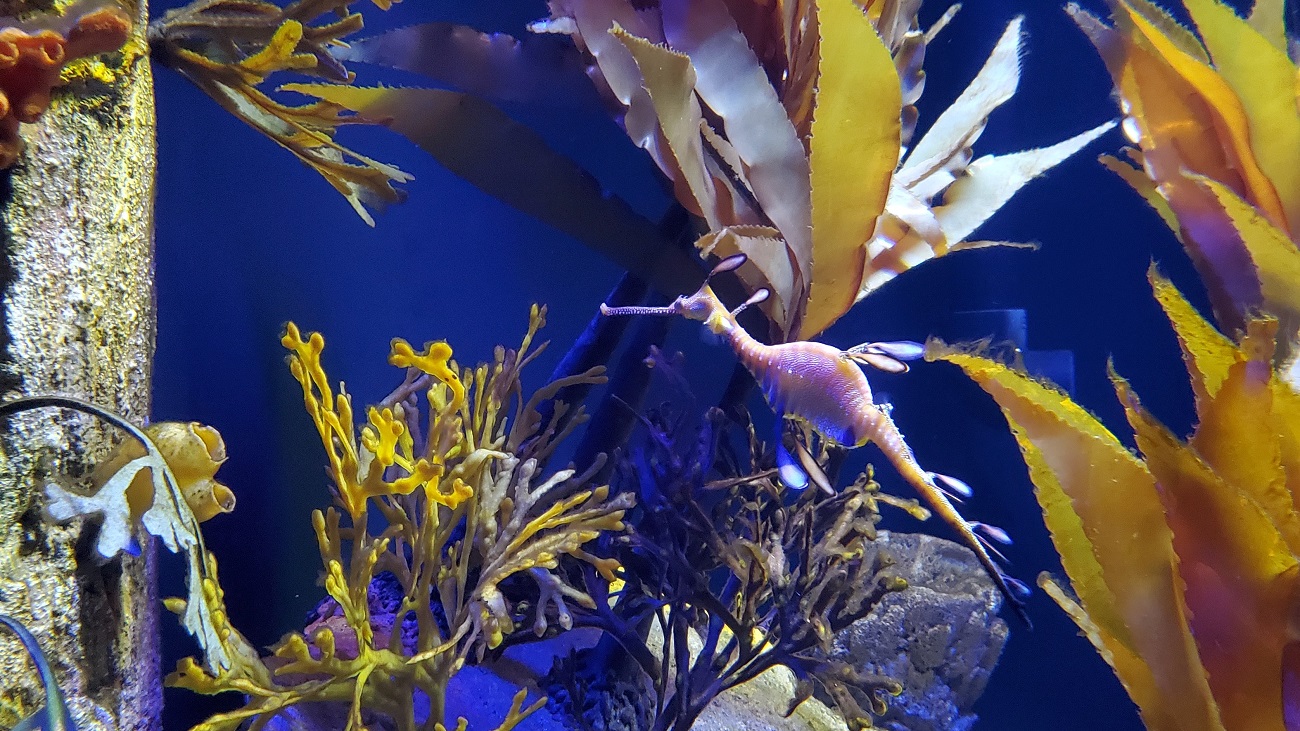 Name:  185-20220430_121528.jpg
Views: 3259
Size:  467.1 KB