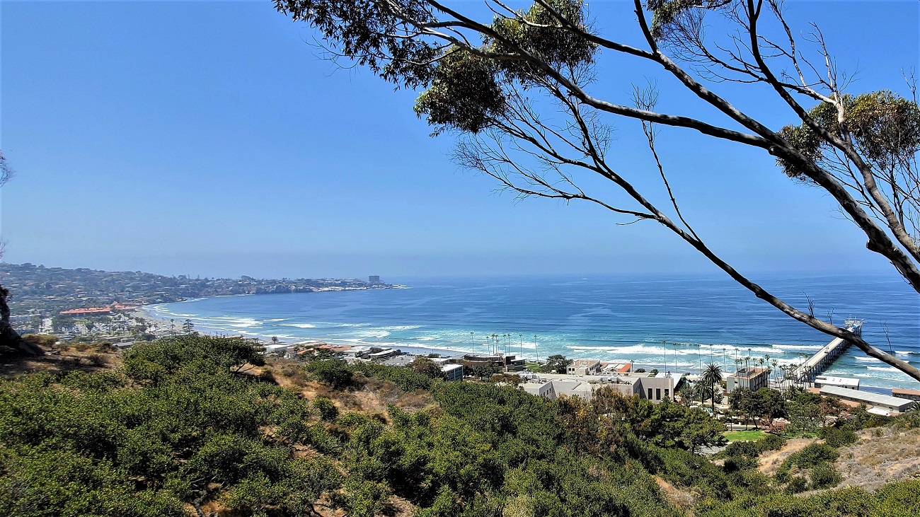 Name:  186-20220430_120456.jpg
Views: 3273
Size:  530.7 KB