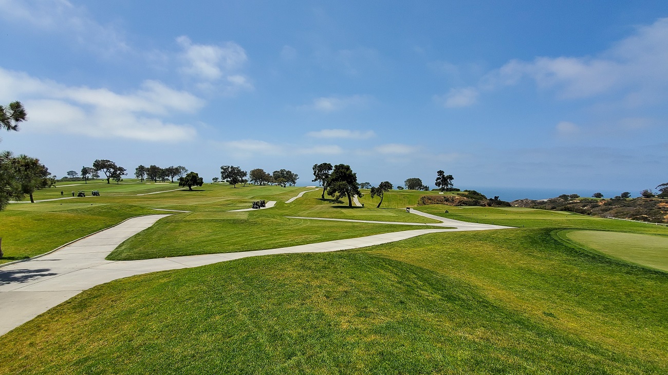 Name:  189-20220430_125233.jpg
Views: 3262
Size:  425.1 KB