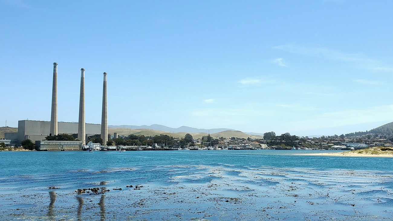 Name:  204-20220502_122643.jpg
Views: 3183
Size:  348.0 KB