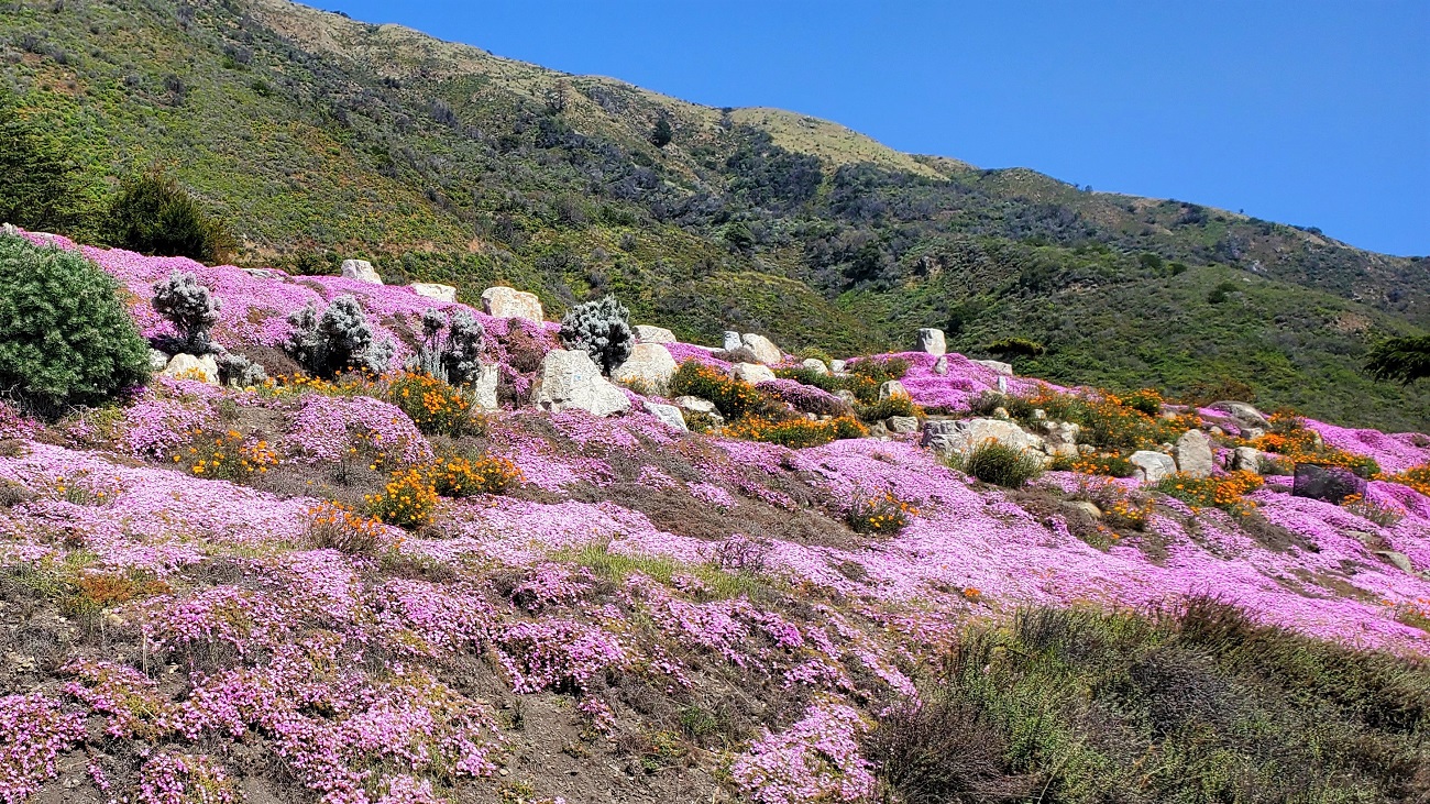 Name:  213-20220502_141748.jpg
Views: 3152
Size:  719.3 KB