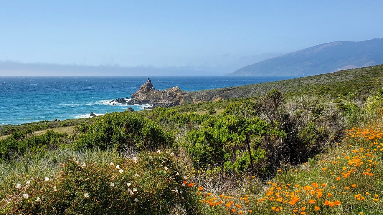 Name:  214-20220502_141826.jpg
Views: 3170
Size:  532.7 KB