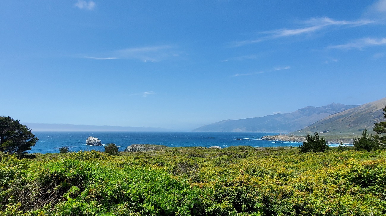 Name:  215-20220502_141322.jpg
Views: 3149
Size:  423.1 KB