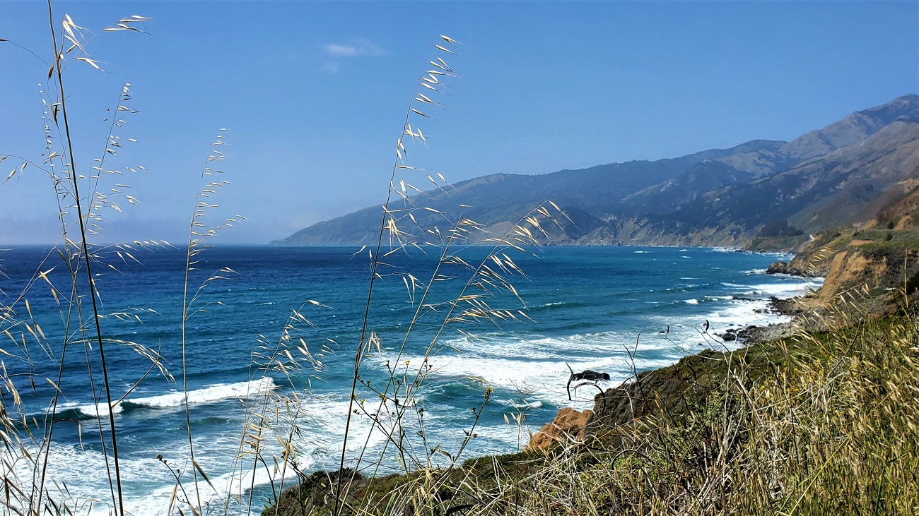 Name:  216-20220502_142217.jpg
Views: 3155
Size:  470.8 KB