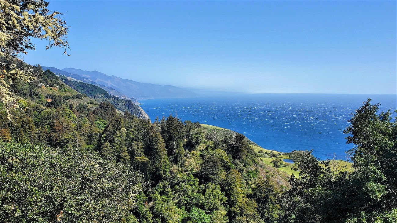 Name:  218-20220502_155450.jpg
Views: 3128
Size:  554.8 KB