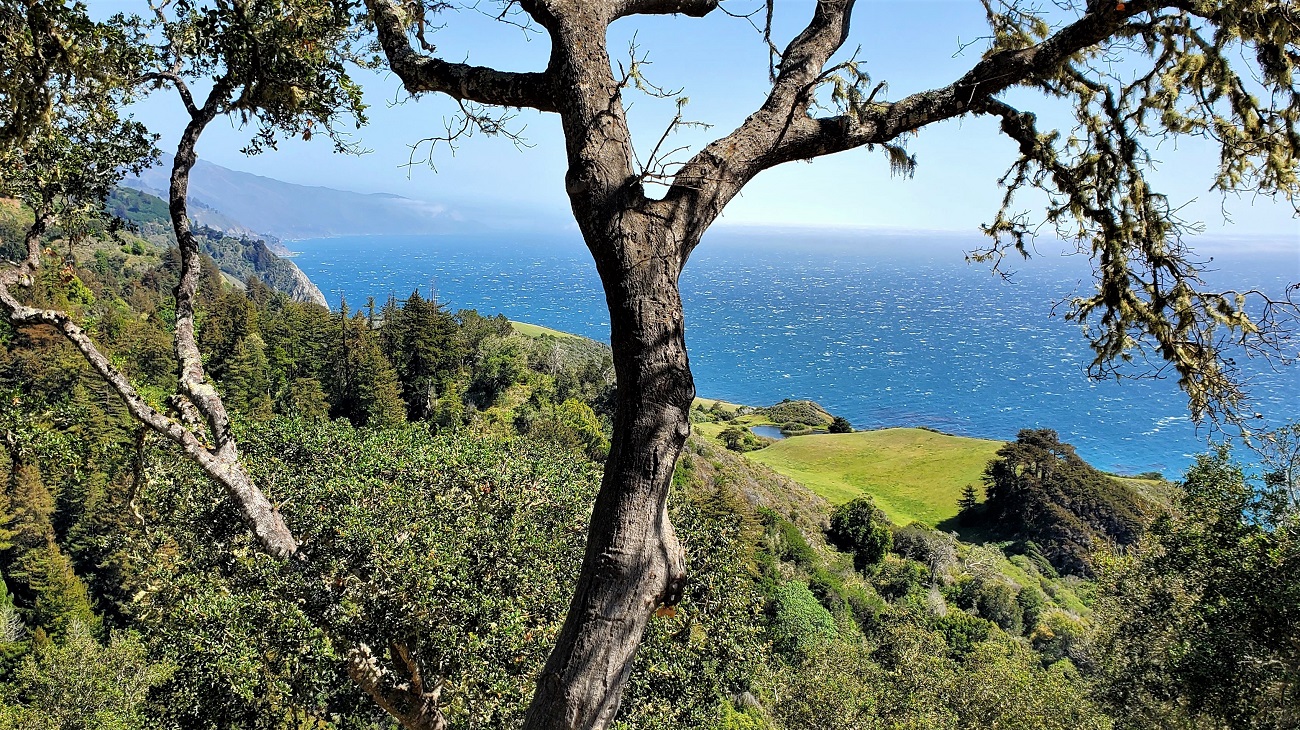 Name:  219-20220502_151314.jpg
Views: 3194
Size:  742.5 KB