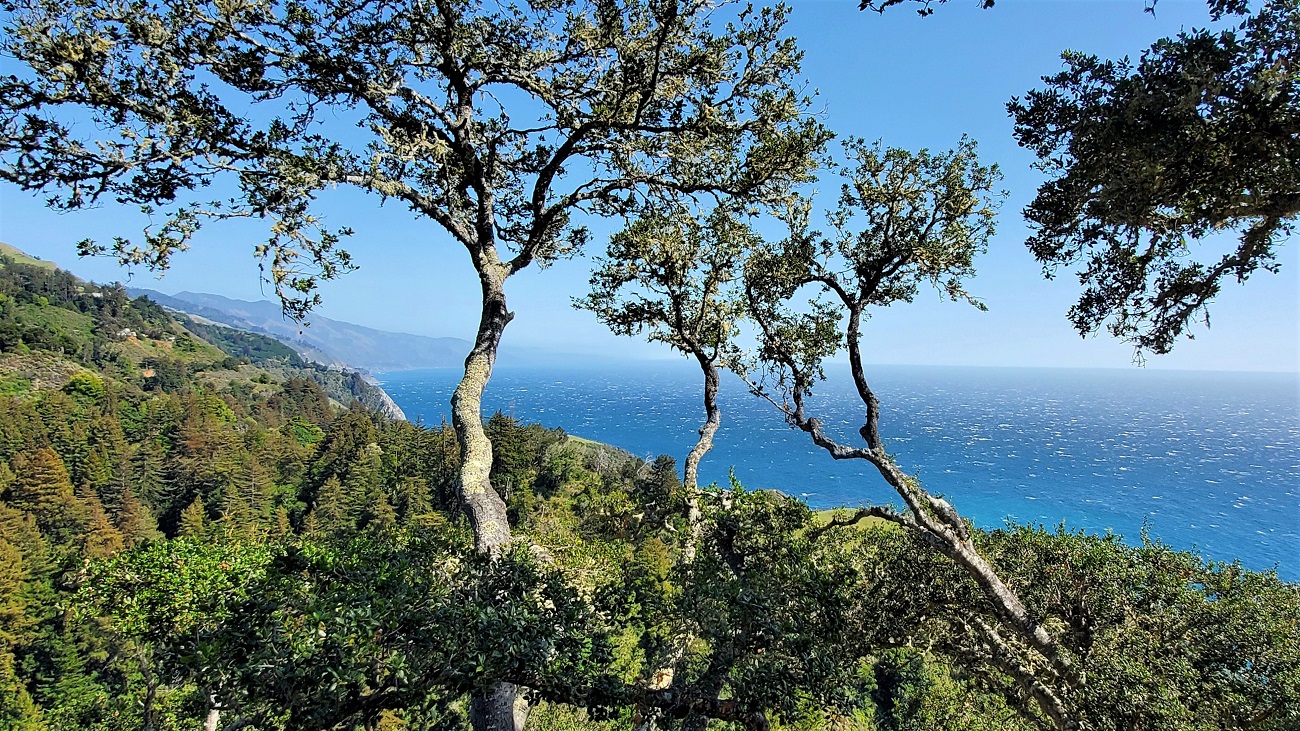 Name:  221-20220502_155652.jpg
Views: 3155
Size:  736.8 KB