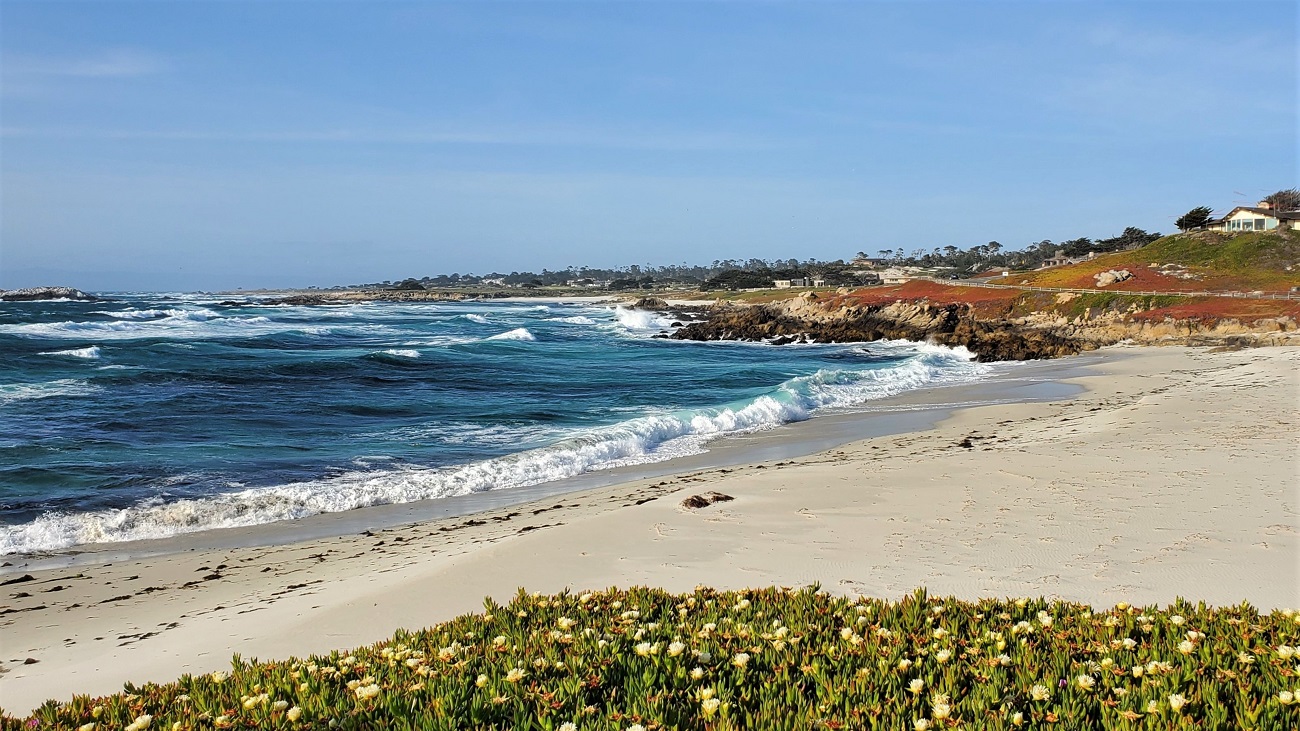 Name:  229-20220502_174638.jpg
Views: 3092
Size:  420.9 KB