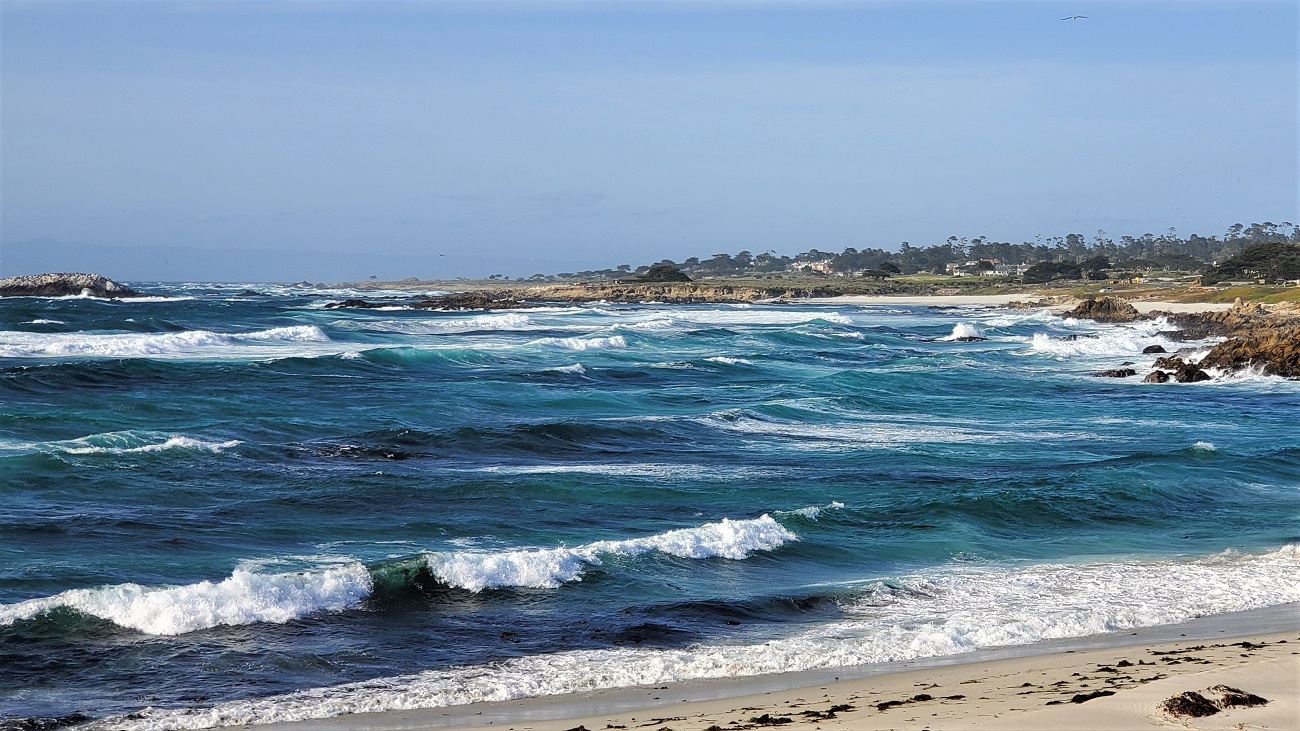 Name:  230-20220502_174707.jpg
Views: 3081
Size:  409.8 KB