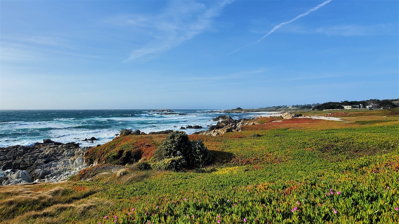 Name:  231-20220502_175031.jpg
Views: 3078
Size:  488.1 KB