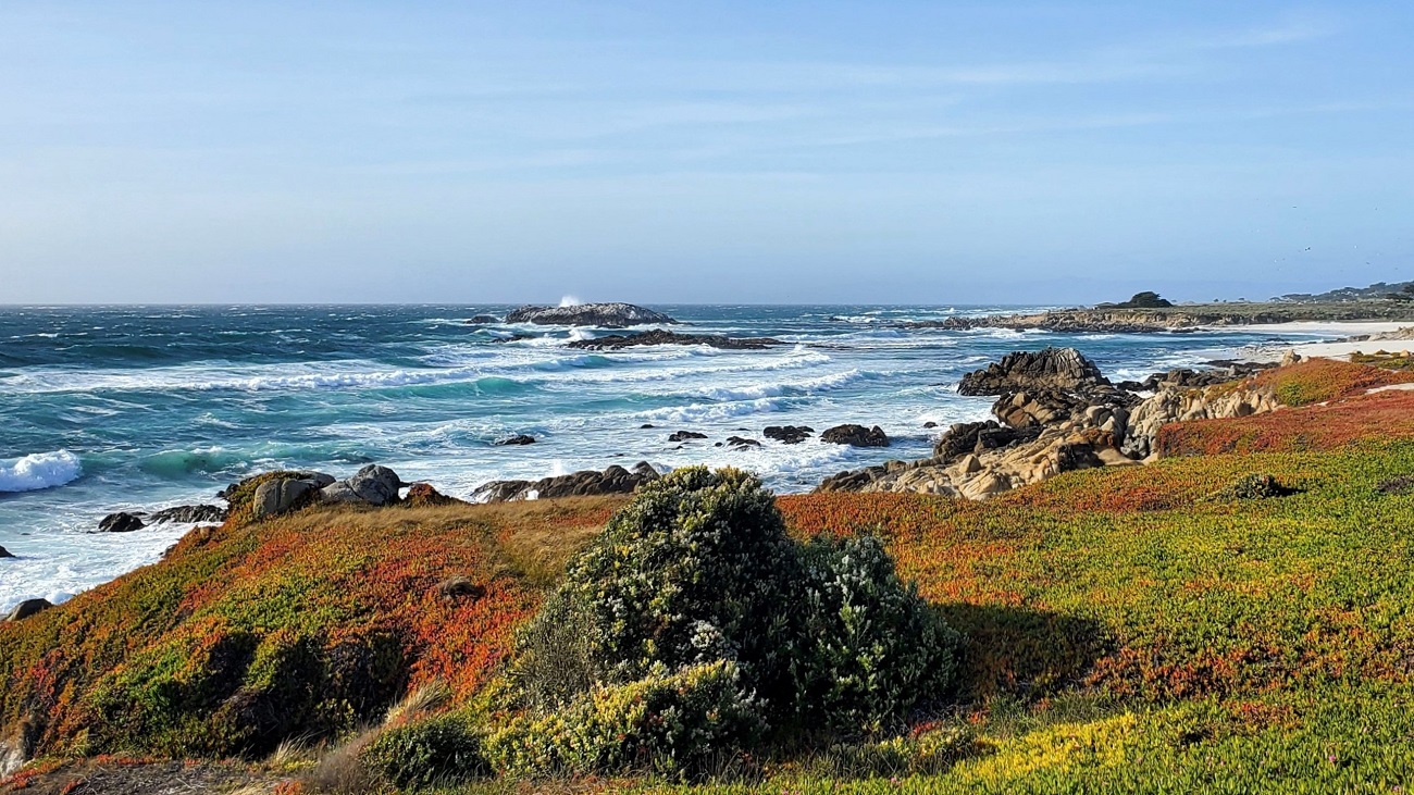 Name:  232-20220502_175024.jpg
Views: 3112
Size:  472.1 KB