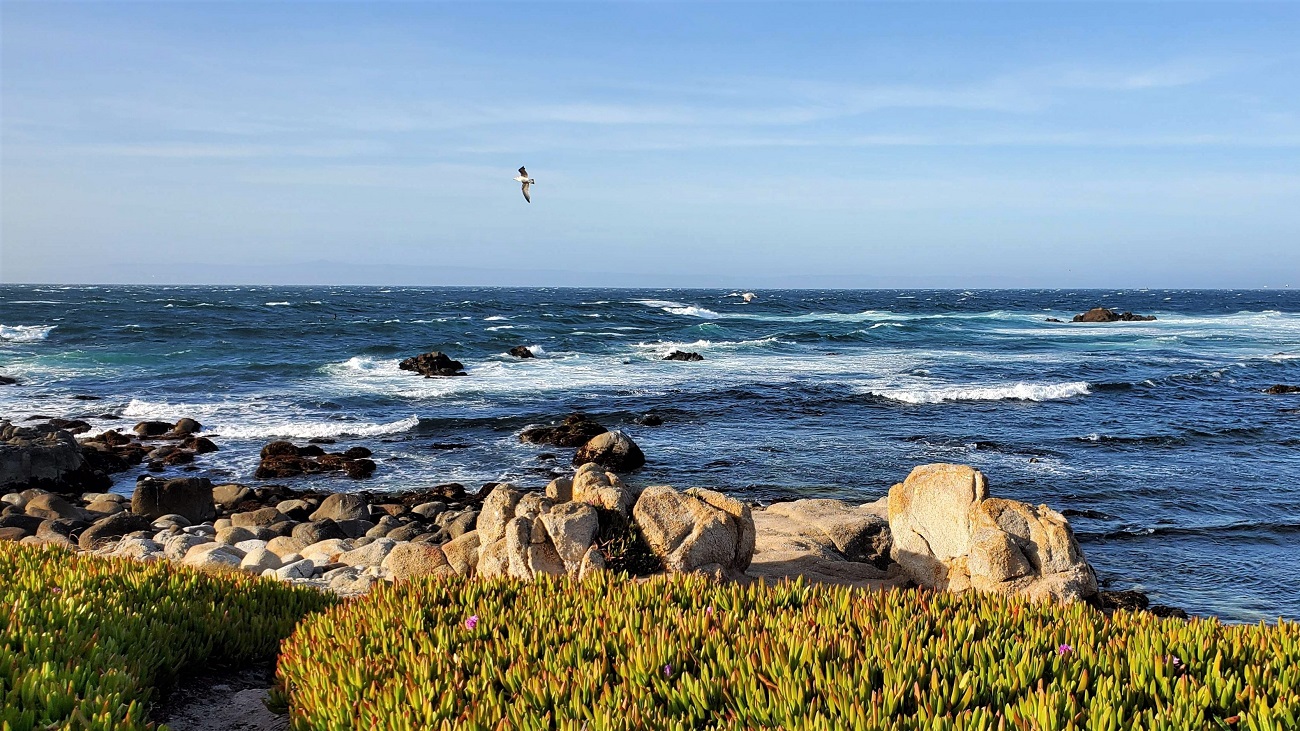 Name:  234-20220502_181515.jpg
Views: 3097
Size:  474.7 KB