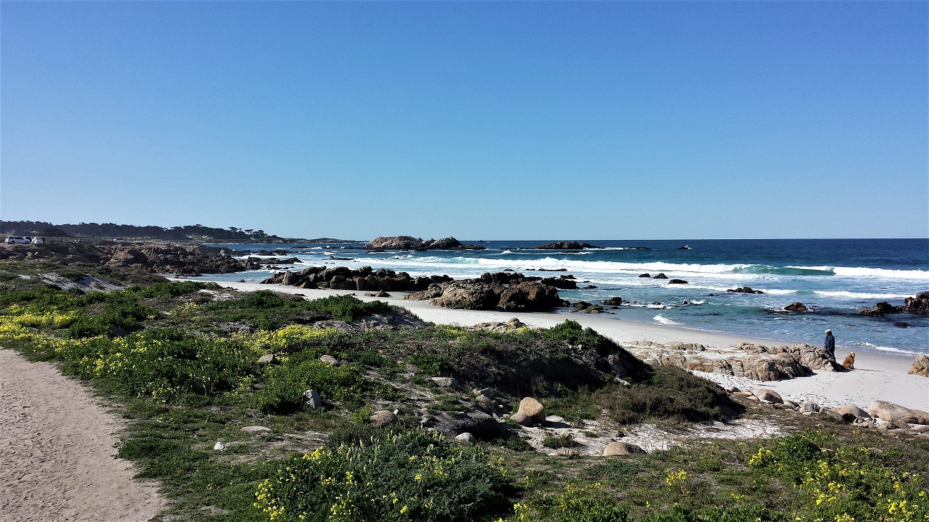 Name:  235-20150223_102311.jpg
Views: 3063
Size:  457.2 KB